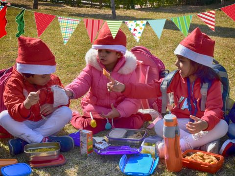 Calss Picnic