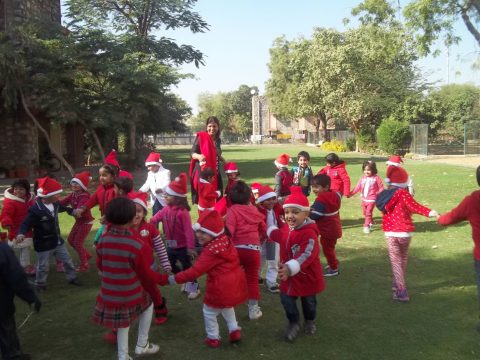 Class Picnic